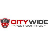 City Wide Bed Bug Control Sydney image 1